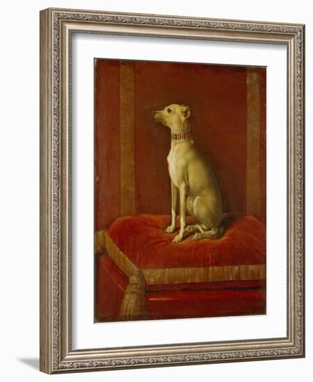 One of Frederick Ii's Italian Greyhounds-German School-Framed Giclee Print