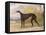 One of George Lane Fox's Winning Greyhounds: the Black and White Greyhound Bitch, Juno-George Garrard-Framed Premier Image Canvas