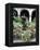 One of Many Lovely Garden Courtyards in Old Havana, Havana, Cuba, West Indies, Central America-R H Productions-Framed Premier Image Canvas