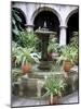 One of Many Lovely Garden Courtyards in Old Havana, Havana, Cuba, West Indies, Central America-R H Productions-Mounted Photographic Print