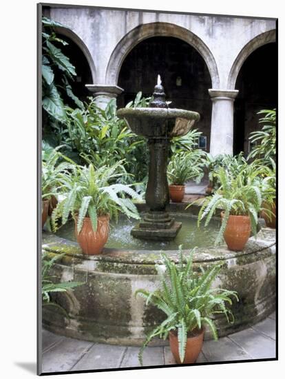 One of Many Lovely Garden Courtyards in Old Havana, Havana, Cuba, West Indies, Central America-R H Productions-Mounted Photographic Print