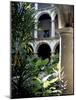 One of Many Lovely Garden Courtyards in Old Havana, Havana, Cuba, West Indies, Central America-R H Productions-Mounted Photographic Print