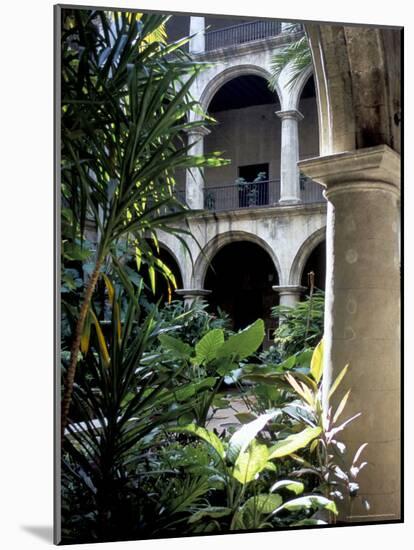 One of Many Lovely Garden Courtyards in Old Havana, Havana, Cuba, West Indies, Central America-R H Productions-Mounted Photographic Print