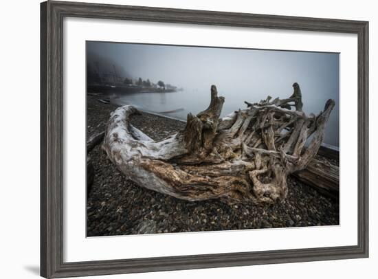 One of Many Trees Washed Up Upon the Shore of Alki Beach, West Seattle, Washington-Dan Holz-Framed Photographic Print