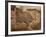 One of the Buildings in the Excavations Near the River-Charles Richardson-Framed Giclee Print