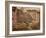 One of the Buildings in the Excavations Near the River-Charles Richardson-Framed Giclee Print