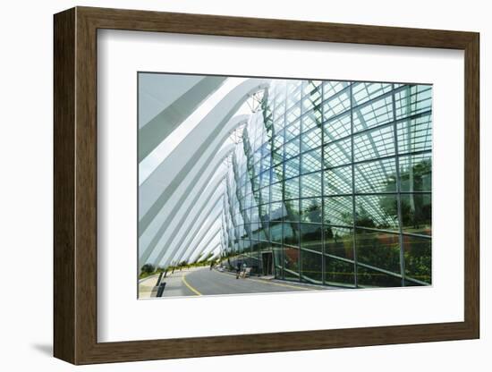 One of the Futuristic Conservatories at the Gardens by the Bay Botanical Gardens, Marina Bay-Fraser Hall-Framed Photographic Print