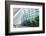 One of the Futuristic Conservatories at the Gardens by the Bay Botanical Gardens, Marina Bay-Fraser Hall-Framed Photographic Print