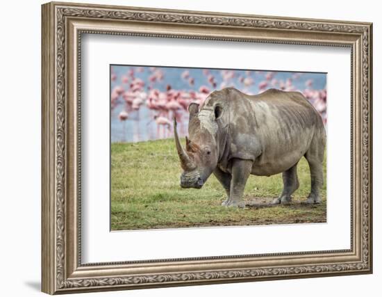 One of the last-Jeffrey C. Sink-Framed Photographic Print