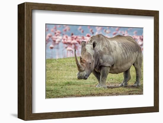 One of the last-Jeffrey C. Sink-Framed Photographic Print