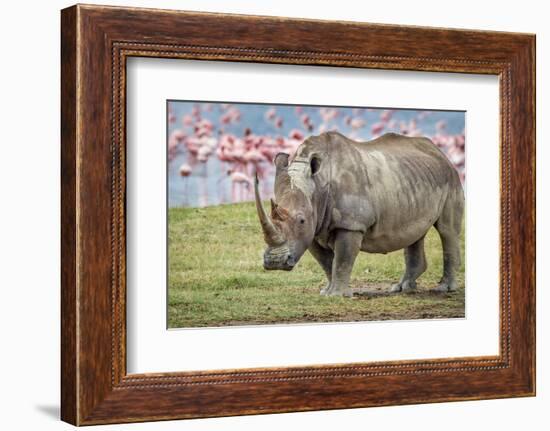 One of the last-Jeffrey C. Sink-Framed Photographic Print