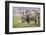 One of the last-Jeffrey C. Sink-Framed Photographic Print