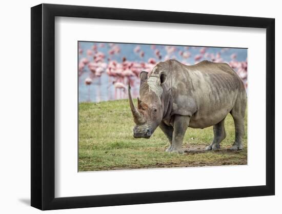 One of the last-Jeffrey C. Sink-Framed Photographic Print