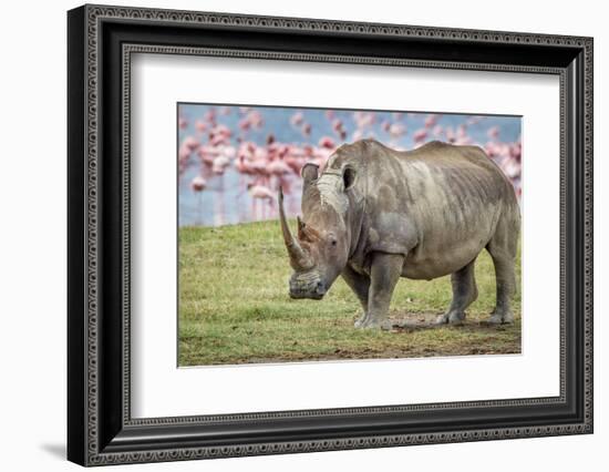 One of the last-Jeffrey C. Sink-Framed Photographic Print