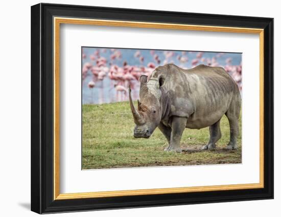 One of the last-Jeffrey C. Sink-Framed Photographic Print