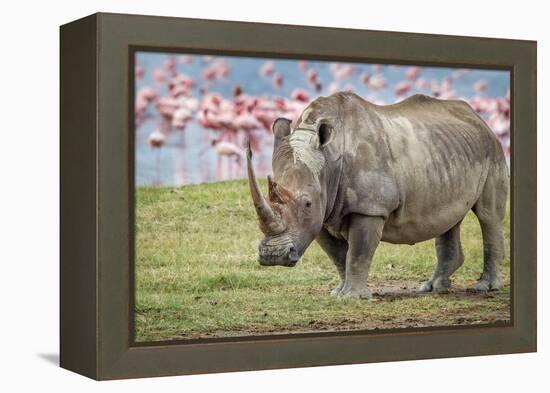 One of the last-Jeffrey C. Sink-Framed Premier Image Canvas