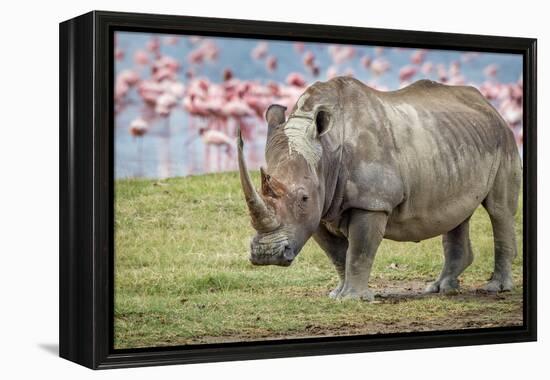 One of the last-Jeffrey C. Sink-Framed Premier Image Canvas