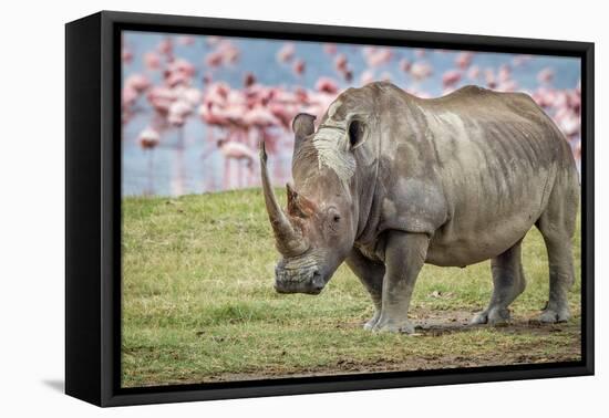 One of the last-Jeffrey C. Sink-Framed Premier Image Canvas