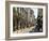 One of the Main Shopping Streets, Avignon, Provence, France, Europe-Peter Richardson-Framed Photographic Print