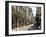 One of the Main Shopping Streets, Avignon, Provence, France, Europe-Peter Richardson-Framed Photographic Print