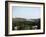 One of the oases of the Mzab valley-Werner Forman-Framed Giclee Print