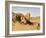 One of the Pharaoh's bridges, Egypt-English Photographer-Framed Giclee Print