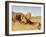 One of the Pharaoh's bridges, Egypt-English Photographer-Framed Giclee Print