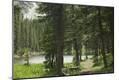 Photographic Print