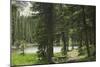 One of the Trampas Lakes High in the Pecos Wilderness, Sangre De Cristo Mountains-null-Mounted Photographic Print