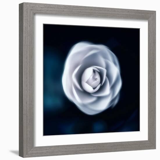One & Only-Philippe Sainte-Laudy-Framed Photographic Print