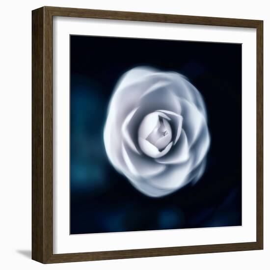 One & Only-Philippe Sainte-Laudy-Framed Photographic Print