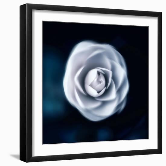 One & Only-Philippe Sainte-Laudy-Framed Photographic Print