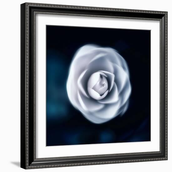 One & Only-Philippe Sainte-Laudy-Framed Photographic Print