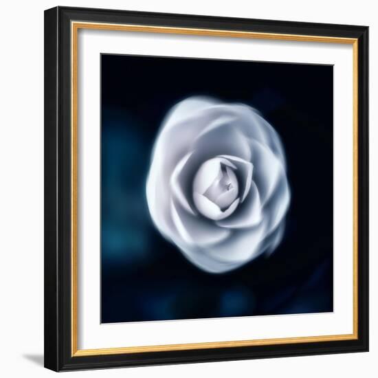 One & Only-Philippe Sainte-Laudy-Framed Photographic Print