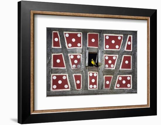 One or Five-Philippe Sainte-Laudy-Framed Photographic Print