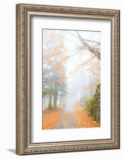 One person walk in the forest of Bagni di Masino, Valmasino, Valtellina, Lombardy, Italy, Europe-Francesco Bergamaschi-Framed Photographic Print