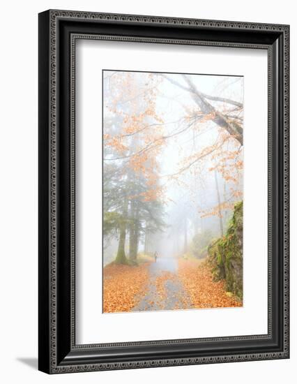 One person walk in the forest of Bagni di Masino, Valmasino, Valtellina, Lombardy, Italy, Europe-Francesco Bergamaschi-Framed Photographic Print