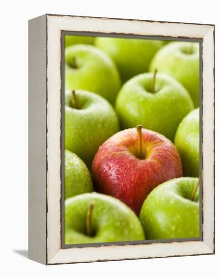 One Red Apple Among Green Apples-Greg Elms-Framed Premier Image Canvas