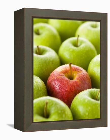 One Red Apple Among Green Apples-Greg Elms-Framed Premier Image Canvas