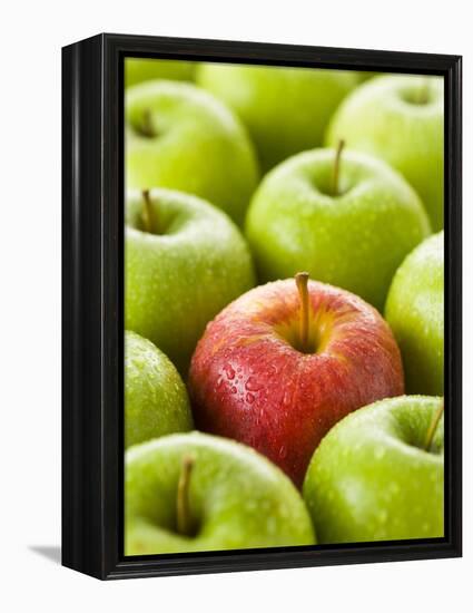 One Red Apple Among Green Apples-Greg Elms-Framed Premier Image Canvas