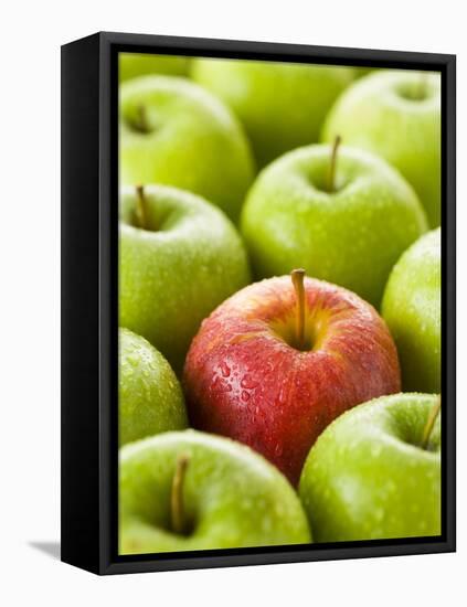 One Red Apple Among Green Apples-Greg Elms-Framed Premier Image Canvas