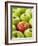 One Red Apple Among Green Apples-Greg Elms-Framed Photographic Print