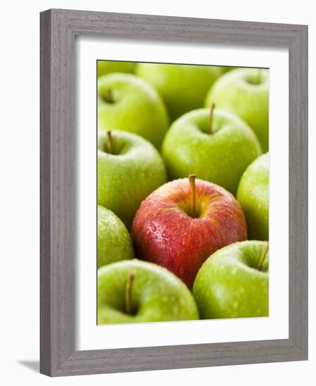 One Red Apple Among Green Apples-Greg Elms-Framed Photographic Print