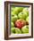 One Red Apple Among Green Apples-Greg Elms-Framed Photographic Print