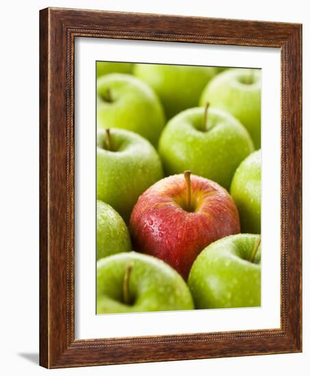 One Red Apple Among Green Apples-Greg Elms-Framed Photographic Print