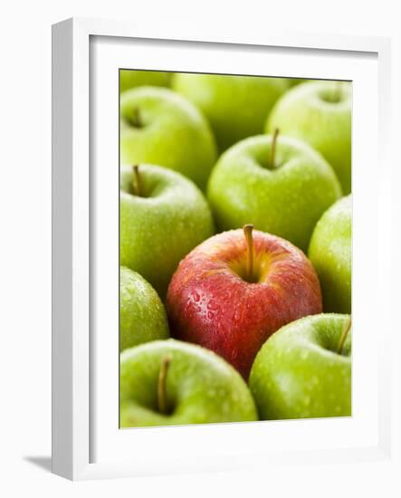 One Red Apple Among Green Apples-Greg Elms-Framed Photographic Print