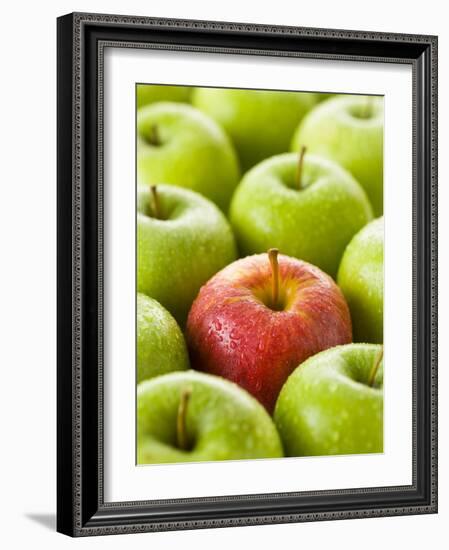 One Red Apple Among Green Apples-Greg Elms-Framed Photographic Print