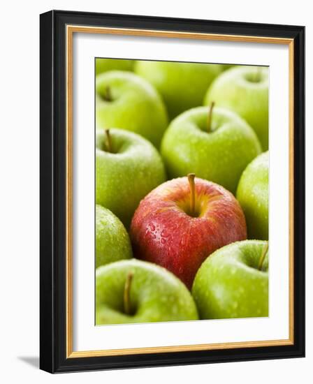 One Red Apple Among Green Apples-Greg Elms-Framed Photographic Print