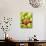 One Red Apple Among Green Apples-Greg Elms-Photographic Print displayed on a wall