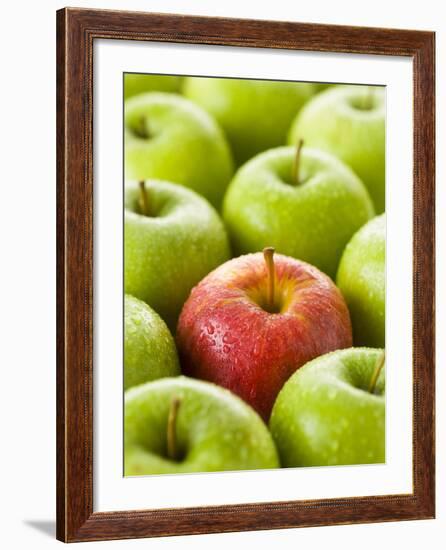 One Red Apple Among Green Apples-Greg Elms-Framed Photographic Print